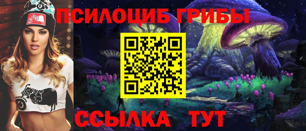 Галлюциногенные грибы Psilocybe Чайковский
