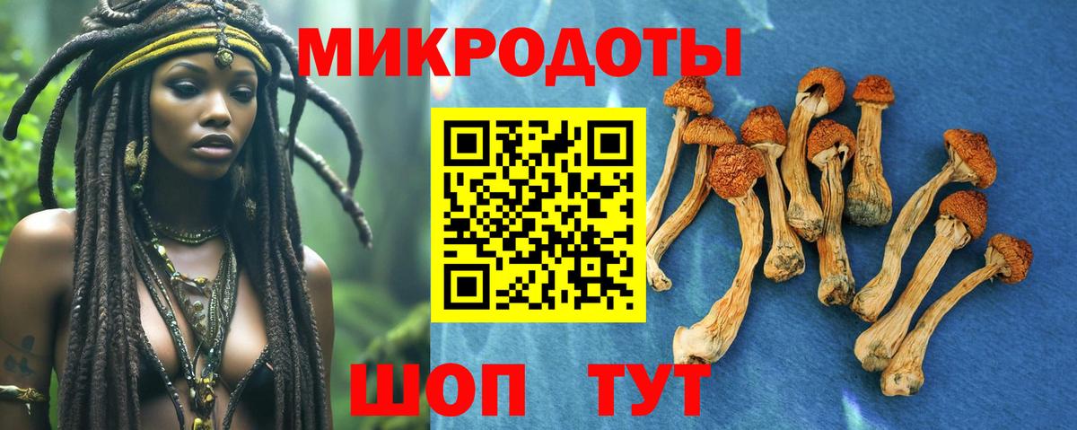 Псилоцибиновые грибы ЛСД  Вход с VPN  Чайковский 