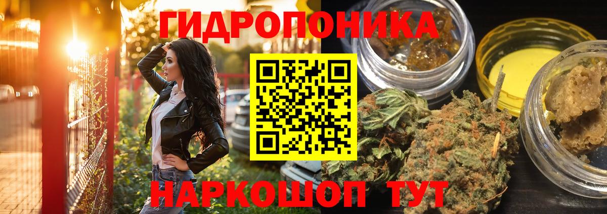 МАРИХУАНА семена Чайковский